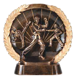  Karate awards