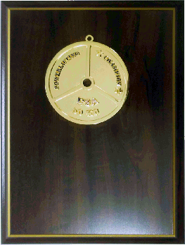 Powerlifting trophys,weightlifting trophys