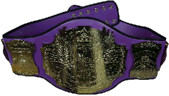 Championship belt, trophy belt