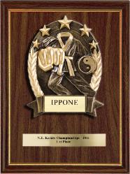  Karate awards