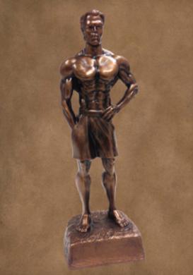 Male Physique awards