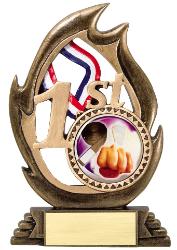 Karate trophys