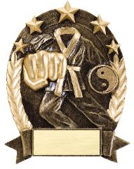 Karate trophys