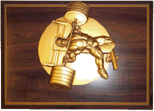 Powerlifting trophys,weightlifting trophys