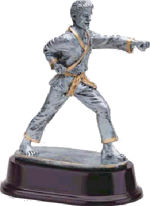 Karate trophys