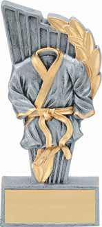 Karate trophys