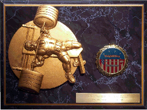 Powerlifting trophys,weightlifting trophys
