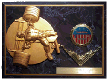 Powerlifting awards,powerlifting trophys,weightlifting trophys
